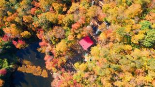 Lakefront & Snowshoeing - only 1h15 to Montreal - 9