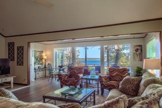 CL 1232 Texas Rose - 0