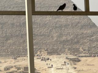 Giza Pyramids Inn - 2