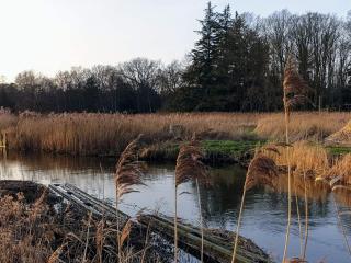 6 person holiday home in Store Fuglede-By Traum - 3