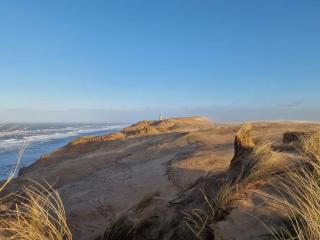 18 person holiday home in Løkken-By Traum - 4