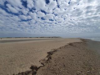 16 person holiday home in Rømø - 4