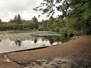 6 person holiday home in Bindslev-By Traum - 5