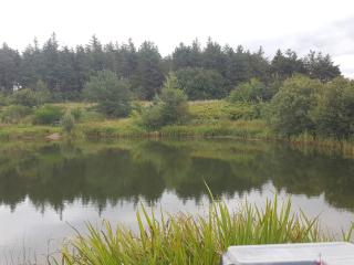 4 person holiday home in Toftlund-By Traum - 2