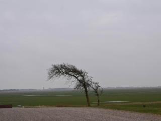 4 person holiday home in Toftlund-By Traum - 4