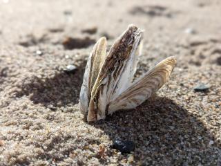 5 person holiday home in Vinderup-By Traum - 8