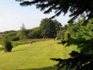 8 person holiday home in Brovst-By Traum - 7