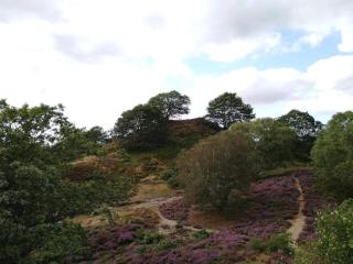 8 person holiday home in Gjern-By Traum - 5