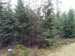 8 person holiday home in Gjern-By Traum - 7