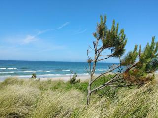 Cozy Retreat in Rorvig Haven-By Traum - 8