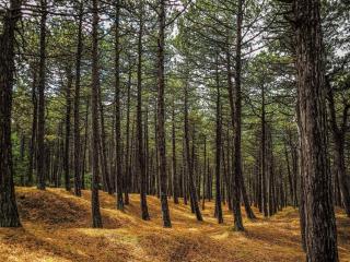 Cozy Retreat in Rorvig Haven-By Traum - 7