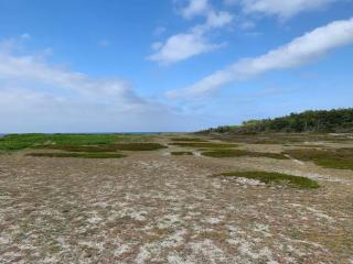 Cozy Retreat in Rorvig Haven-By Traum - 6