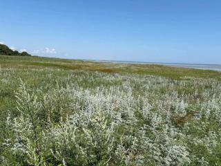 11 person holiday home in Ørsted-By Traum - 8