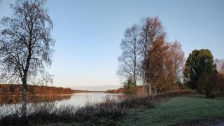 Cottage for 9-13 person three rooms - 4