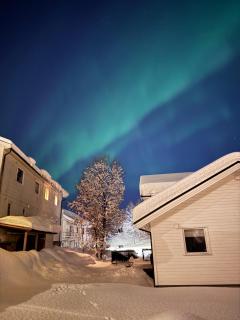 Northern lights Entire Apartment - 9