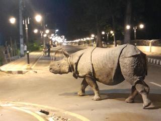 Crocodile Safari Camp - 2