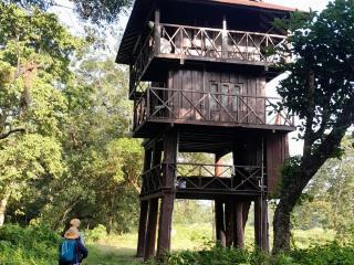 Crocodile Safari Camp - 3