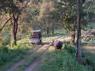 Crocodile Safari Camp - 4
