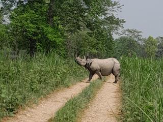 Crocodile Safari Camp - 8