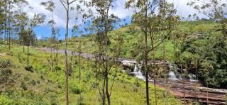 LilyRose Bungalow at Willows, Upcot, Sri Lanka - 9