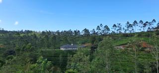 LilyRose Bungalow at Willows, Upcot, Sri Lanka - 4