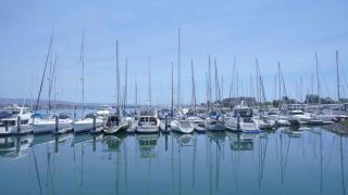 Extended Stay America Premier Suites - Oakland - Alameda - 8