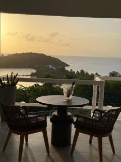 Pelican at Galley Bay View - 0