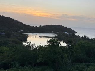 Pelican at Galley Bay View - 8