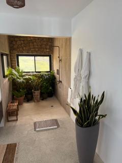 Pelican at Galley Bay View - 1