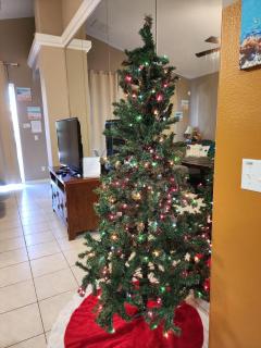 Expansive villa near Disney w pool & game room - 7