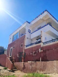 nubian yellow desert - 9