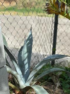 Blue Beach Cottage - 1