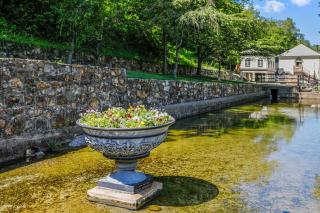 Creekside Fun Dog-friendly, Games & Fire Pit - 3