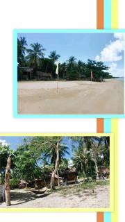 Coconut Beach Bar and Cottages - 2