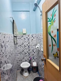 Peaks&Pedals Transient - 2