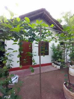 Passion Fruit Villa - 3