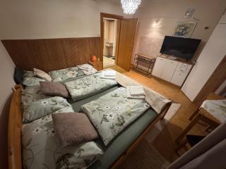 Steinadler apartman kertes ház csendes helyen saját parkolóval kutyabarát - 9