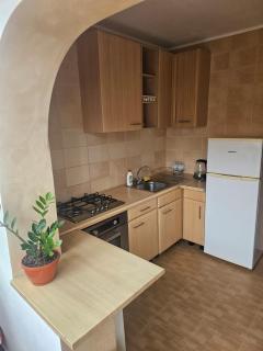 Nicolae Romanescu Park - 9