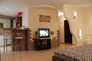 Apartment at Matusevycha Street 2-15 - Kryvyi Rih - 6