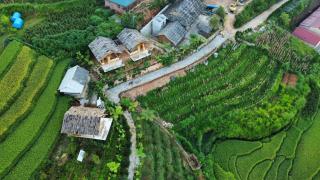 O Châu Homestay Lào Cai - 9