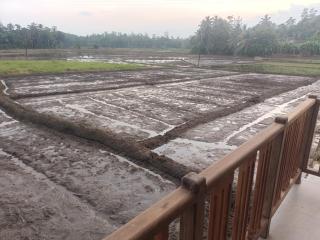 Paddy Edge Ahangama - 4