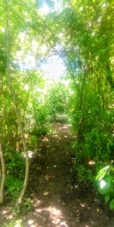 Acampe-Alojamientos - Parada 2R - 1