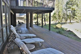 Goldfinch 3 home - 4