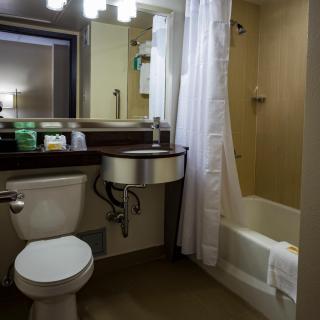 Holiday Inn Houston Downtown by IHG - Houston - 6