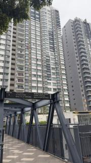 Savanna Executive Suite by LuxeHome - 1