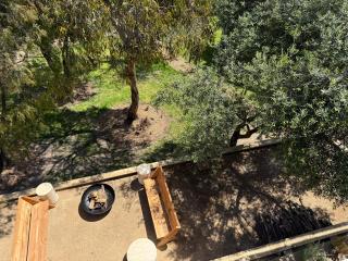 Rye Beach House - Sunset Views - 6