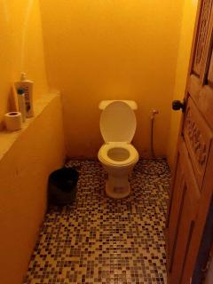 Golden Snake M'pai Bay - 5