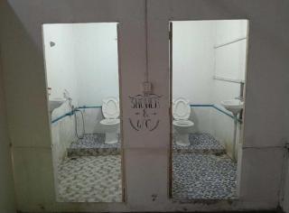 Golden Snake M'pai Bay - 1