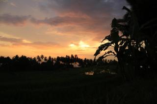 Soma Beach House - Balian - 1