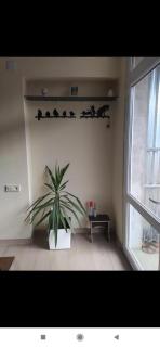 Just Relax In Megri - 9